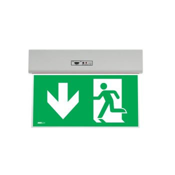 Corp de iluminat de siguranță cu LED XGO săgeată în jos