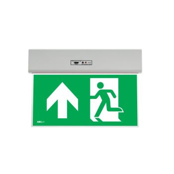 Corp de iluminat de siguranță cu LED XGO săgeată în sus