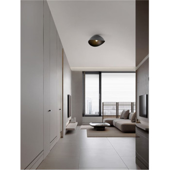 Plafonieră de interior Opsi - Art. 9695299, Nova Luce, Gri/Negru