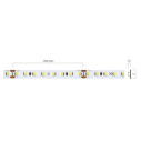 Bandă flexibilă LED XRIBO IP20 5m/rolă 12W/m 128 LED/m 24V DC 2700K CRI.80 >115°