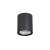 Plafonieră de exterior Ceci - Art. 9200611, Nova Luce, Negru