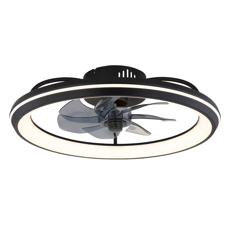 Ventilator de interior CELESTE - Art. 03643, Globo, Negru