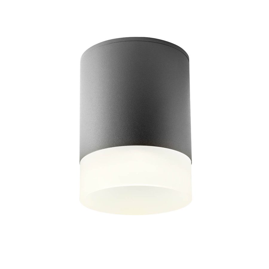 Plafonieră pentru exterior Xilo - Art. 90360, Redo, LED 15W IP54  4000K , Dark Grey