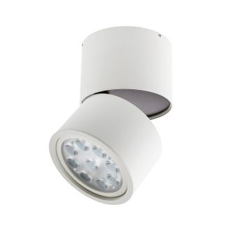 Plafonieră LED XANGLE G53/AR111 1x50W max. 230V AC Alb mat