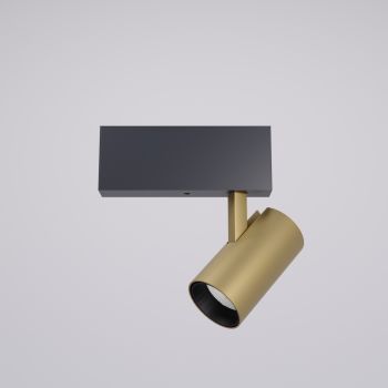 Mini proiector orientabil și dimabil XTRIM DALI cu braț de montaj vizibil 3000K CRI90 20° Auriu