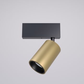 Mini proiector orientabil și dimabil XTRIM DALI 3000K CRI.90 20° Auriu