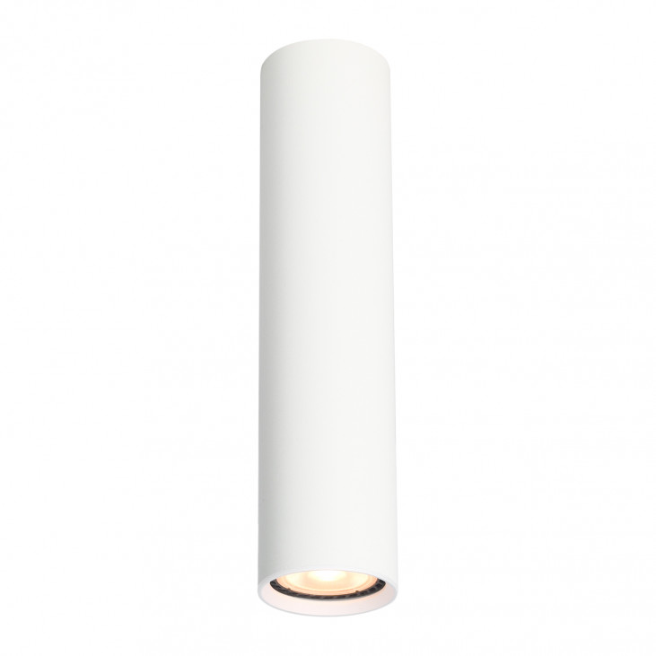 Plafonieră de interior Lopus - Art. CLN-48930-L-WH, Italux, Alb