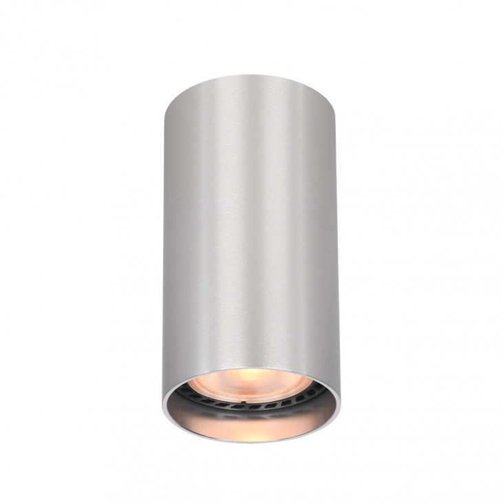 Plafonieră de interior Lopus - Art. CLN-48930-S-ALU, Italux, Aluminiu