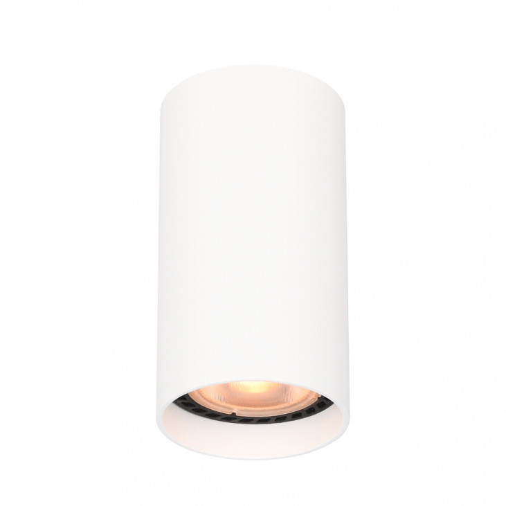 Plafonieră de interior Lopus - Art. CLN-48930-S-WH, Italux, Alb