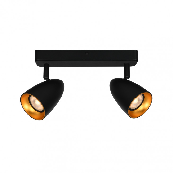 Plafonieră de interior Tino - Art. SPL-36748-2-BK-GD, Italux, Negru/Auriu