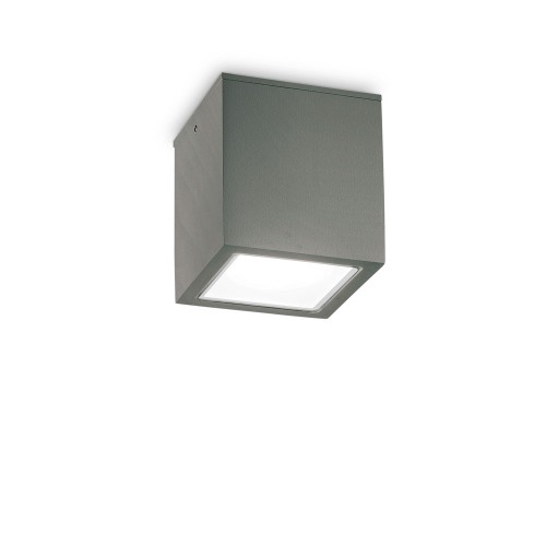 Plafonieră de exterior TECHO - Art. 251516, Ideal Lux, Antracit