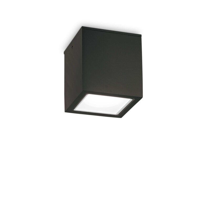 Plafonieră de exterior TECHO - Art. 251530, Ideal Lux, Negru