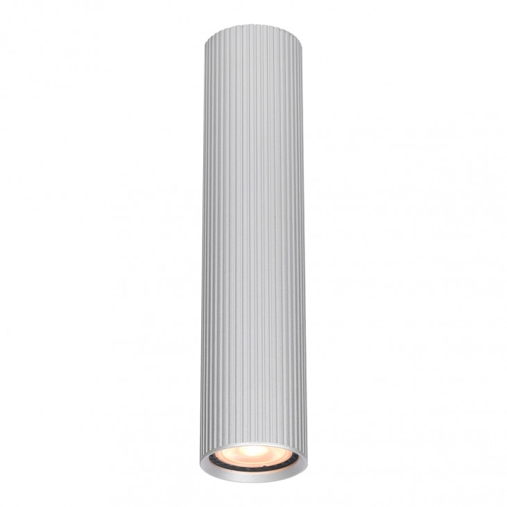 Spot de interior Rilok - Art. CLN-83920-M-ALU, Italux, Aluminiu