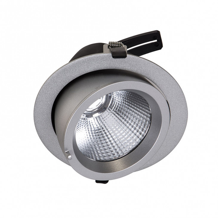 Spot de interior Baluum SV 3600LM - Art. DW-305/SV-WW/20, Italux, Argintiu