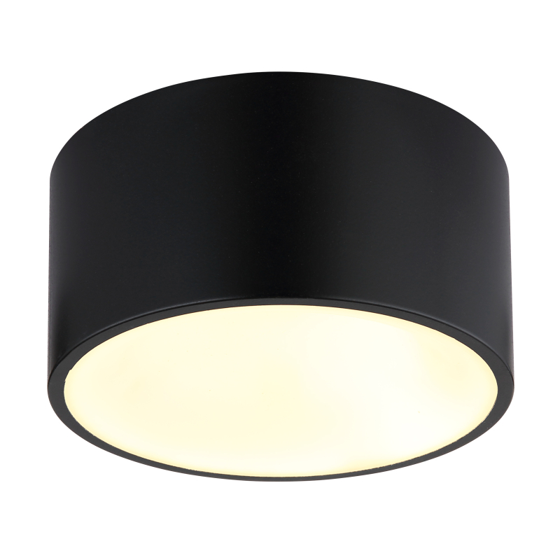 Plafonieră de interior RAYMOND - Art. 56964S, Globo, Negru