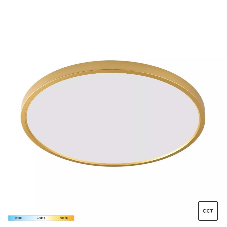 Plafonieră de interior CAMI - Art. WM-BP1108-L-G, Zuma Line, Auriu/Alb