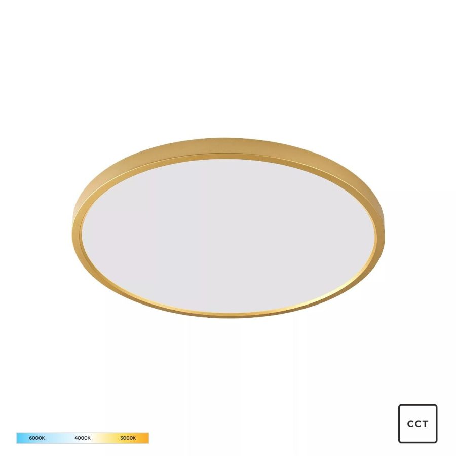 Plafonieră de interior CAMI - Art. WM-BP1108-M-G, Zuma Line, Auriu/Alb